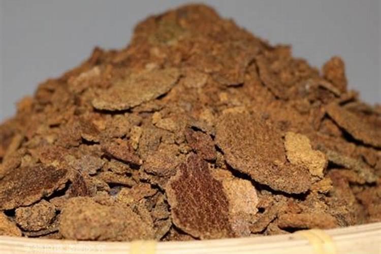 油菜饼不发酵如何做肥料吗花卉百科