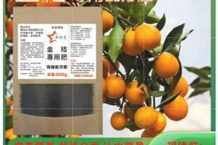 金桔树施什么肥料最好