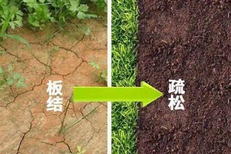 酸性土壤改良方法用什么肥