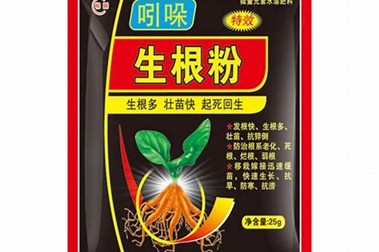 基肥的作用是什么？