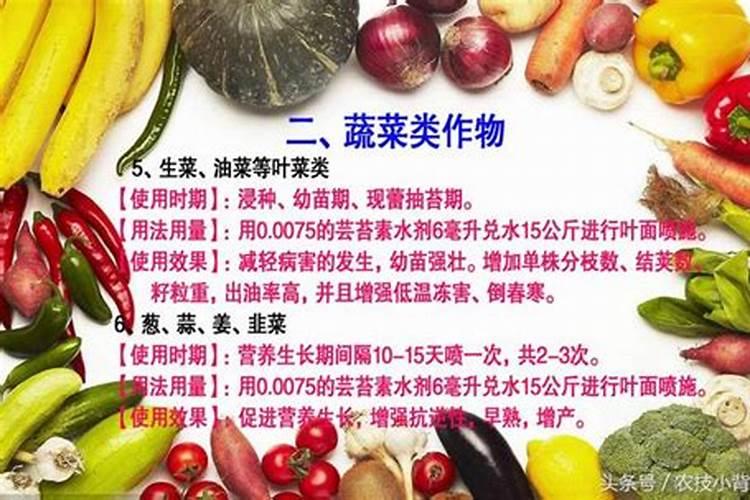 艾草水能保存多久