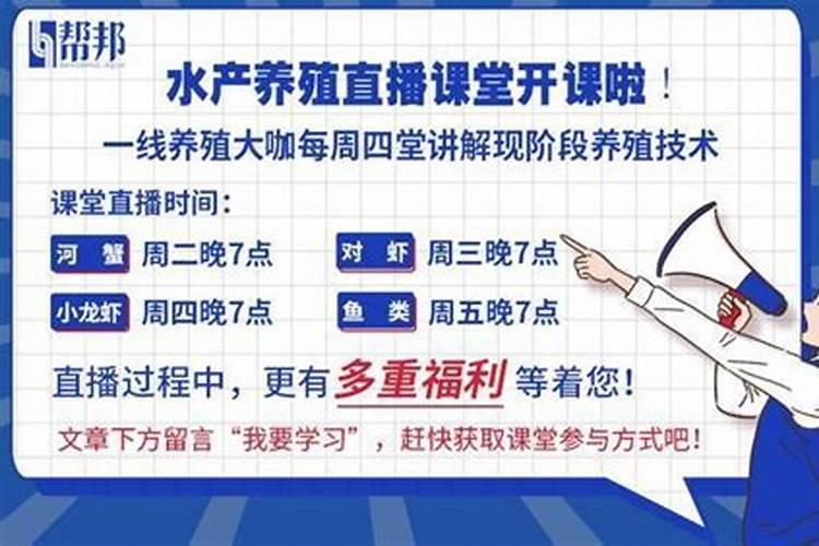 哪些花可以用尿素