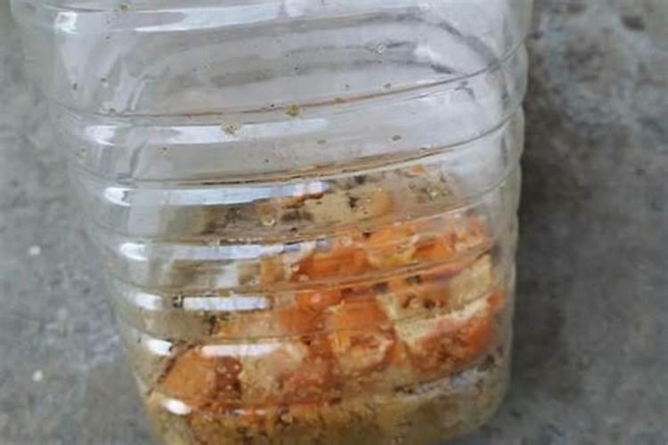 怎么样制作牡丹花肥料最好 如何制作牡丹花肥料最好