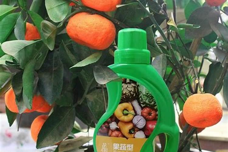 25、 甘草 传统鉴别方法(附 炙甘草)