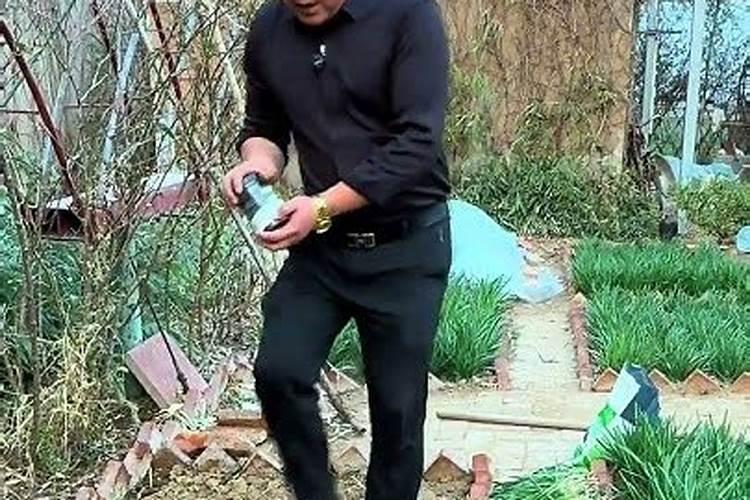 二刀韭菜喷什么叶面肥