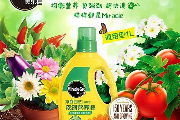 党参种植技术及亩收益 几年可以收获