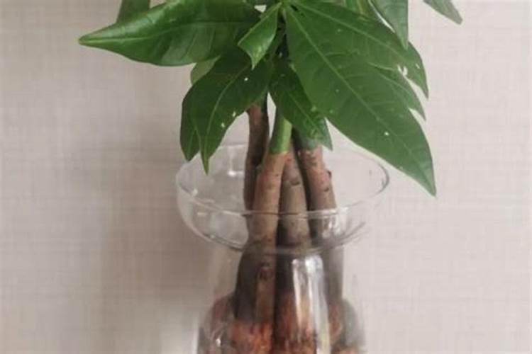 提高氮肥利用率的途径