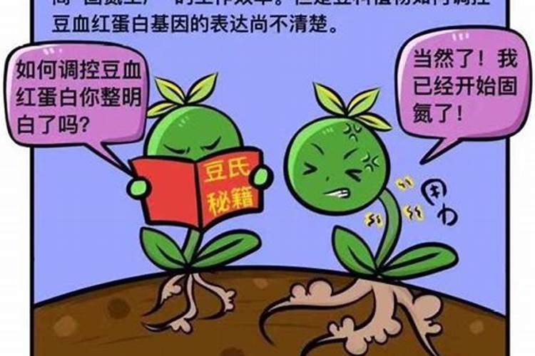 叶面肥包含的微量元素多吗？都有哪种呢？