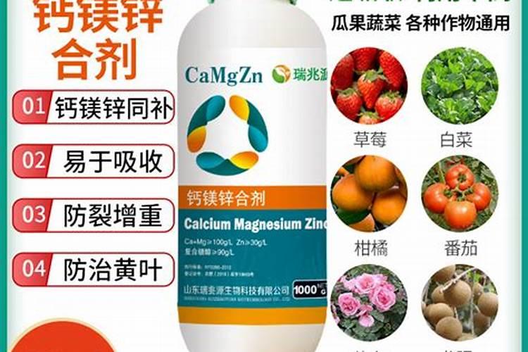 加了硝化细菌水白蒙蒙的