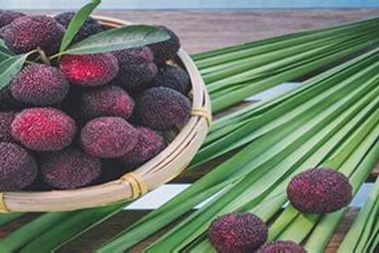 稻子下地不浇水行吗