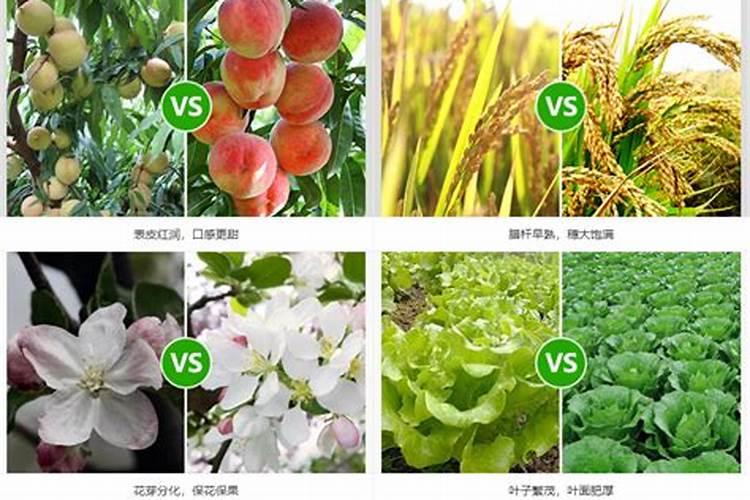 苹果树施肥时间,用什么水溶肥好