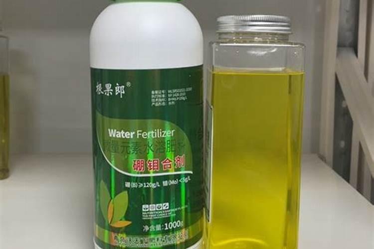 大棚西红柿啥时期冲施高磷肥？