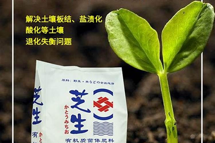 乙蒜素可以和克菌丹一起使用吗