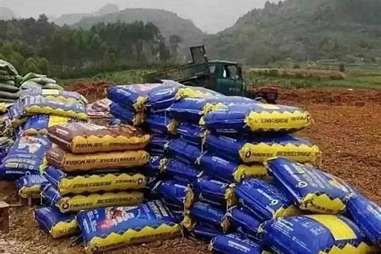 樱桃打什么叶面肥长的快？樱桃什么肥可以果实膨大？