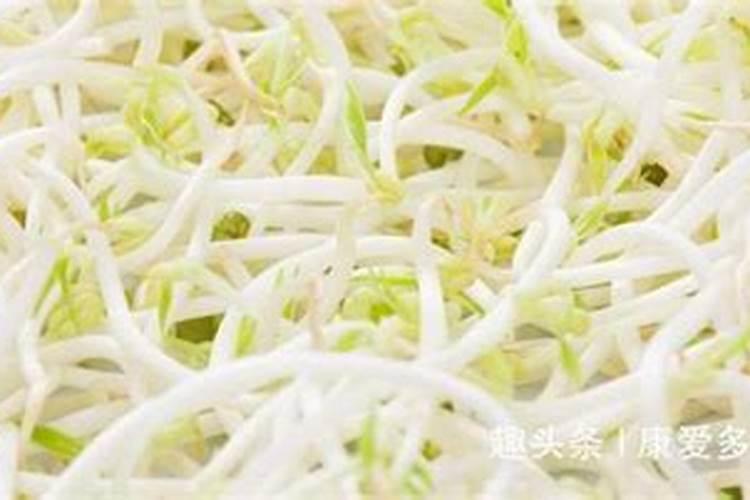 绿豆花期补硼吗怎么施肥？