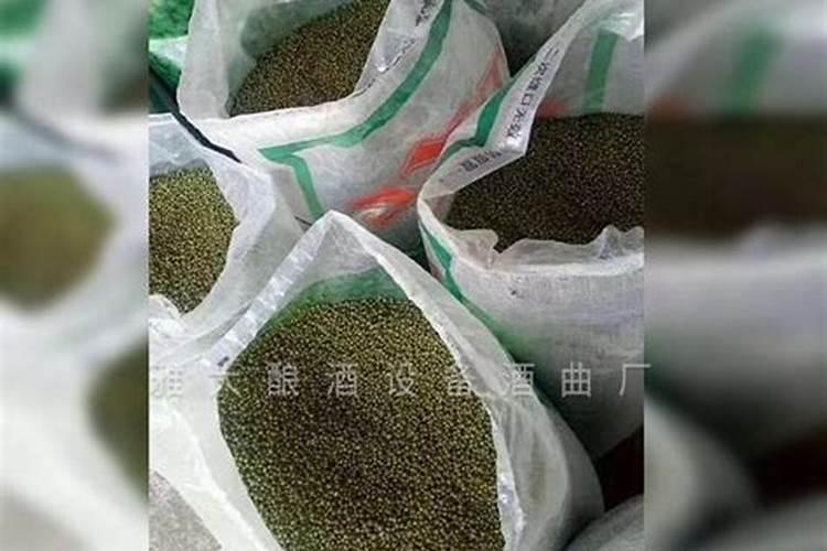 绿豆种植方法土养(绿豆种植方法土养,绿色环保的种植技巧全解析)百度...