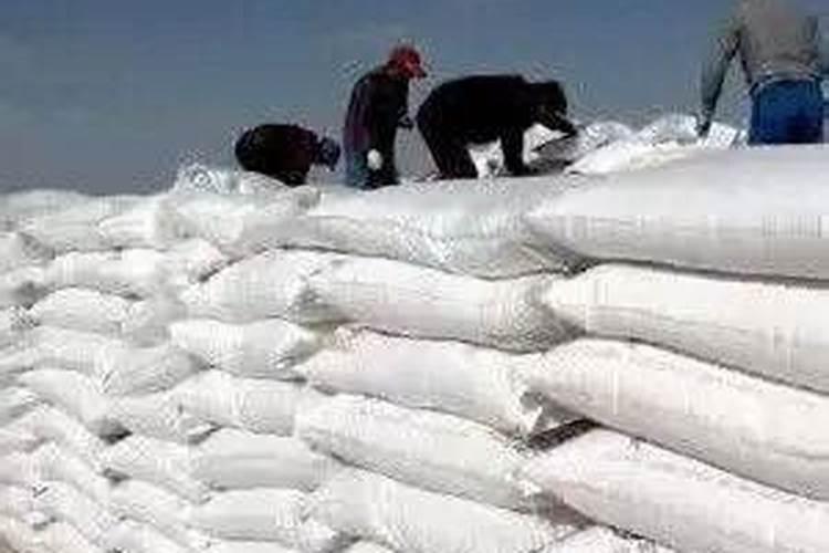 亲土一号和亲土360度一样吗？