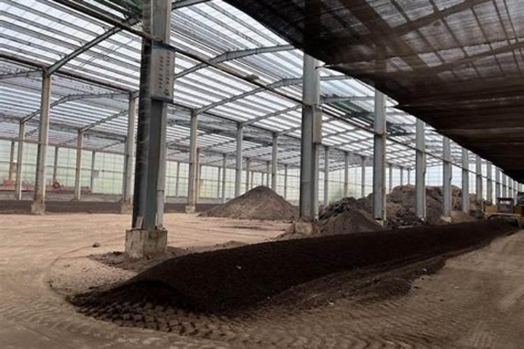 海南岛有菠萝蜜釆摘的地方吗？