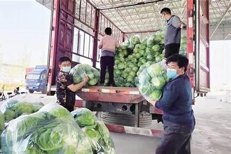 山东明水大化集团概况