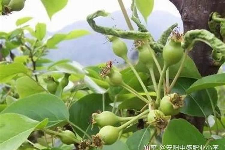 农家肥料腐熟是属于化学变化？为什么？