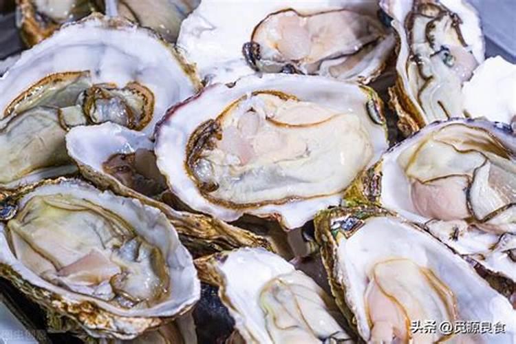 三角梅的养护方法 三角梅怎样养护好