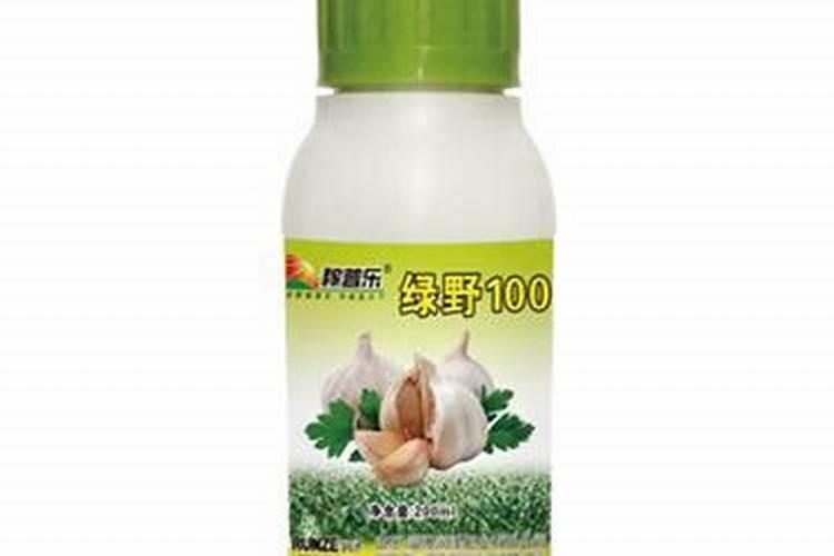 大蒜喷施什么蒜头最大？