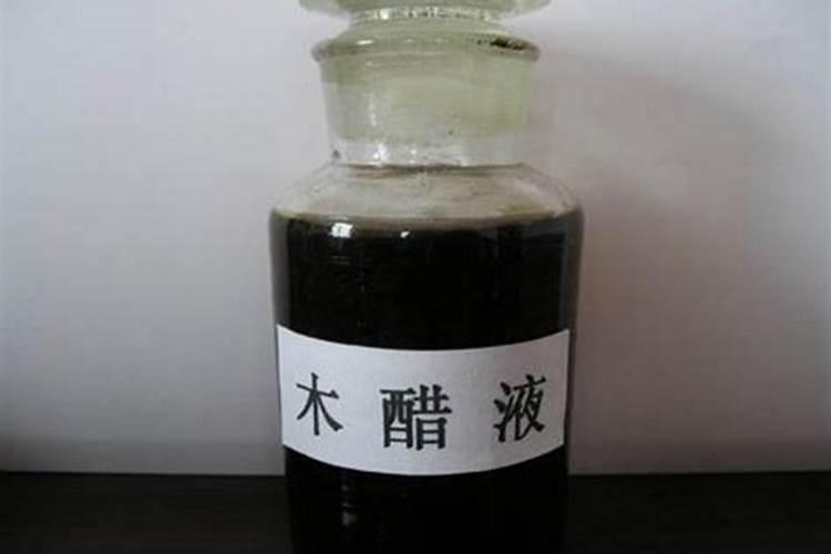 佛手瓜苗长的慢怎么办