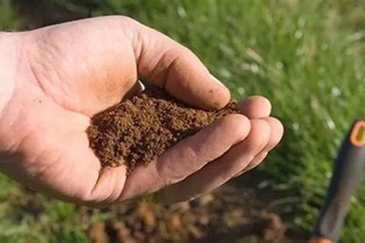 什么花喜欢酸性土壤？