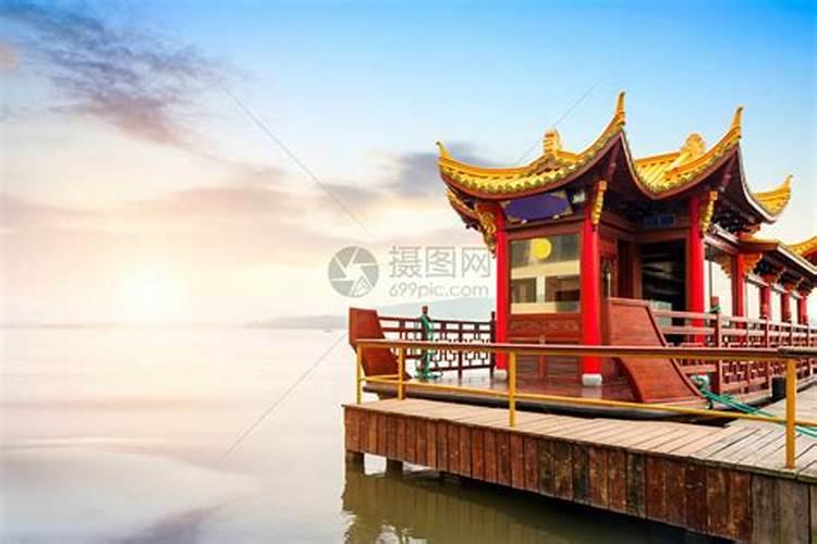 西湖龙井茶叶防治害虫没有任何公害