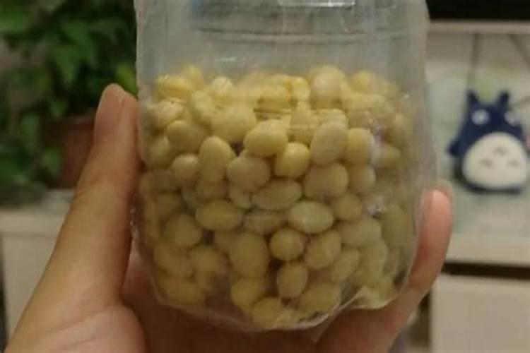 煮熟的豆子能做花肥吗 煮熟的豆子还能做肥料吗