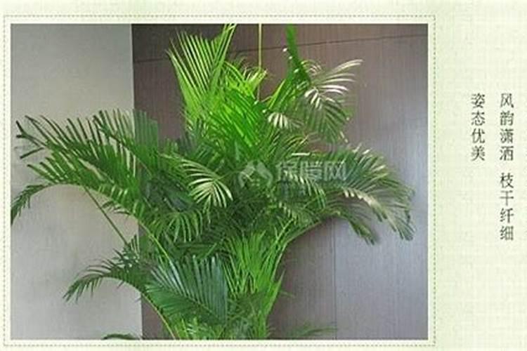 云天化尿素多少钱一吨？