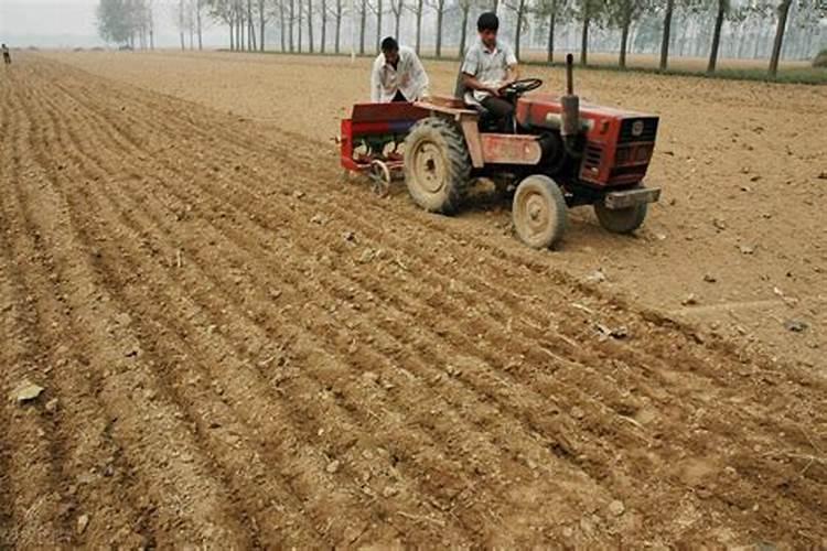 进口的海藻精哪个牌子的好