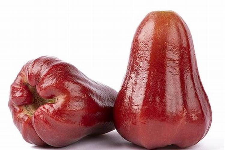 莲雾种植的基本方法是什么？