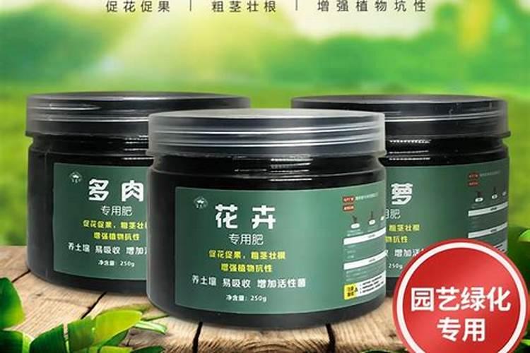 多肉要上什么肥料