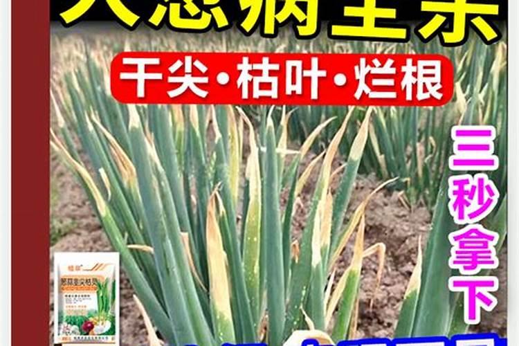 乙蒜素和冠菌清可以混用吗？