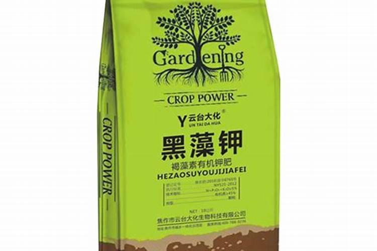 本色水景:19种常见藻类照片和解决方法