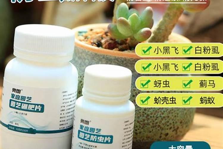 氮肥过多对水稻有什么危害 后期施的氮肥过多怎么处理