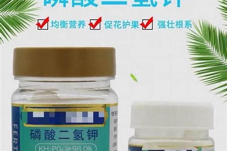 如何处理水族箱中的绿斑藻？
