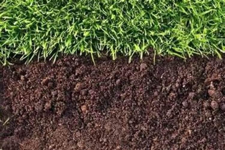 怎样识别真假氯化钾