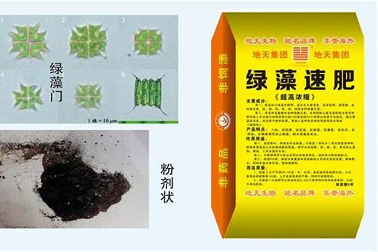 池塘水变绿了怎么办