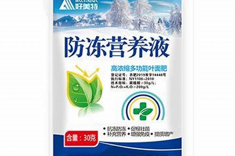 槟榔叶子怎么吃？