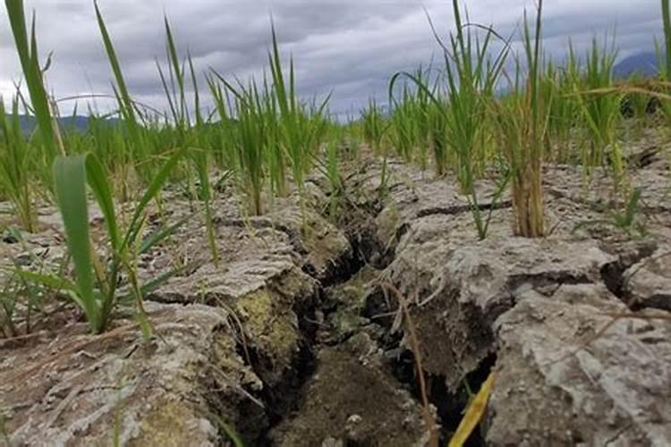 化肥怎么生产出来的