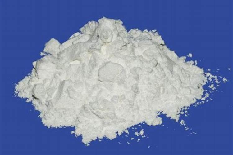 兰花紫月荷怎样分真假？