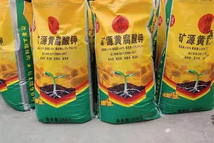 大棚辣椒下雨天能浇水吗？