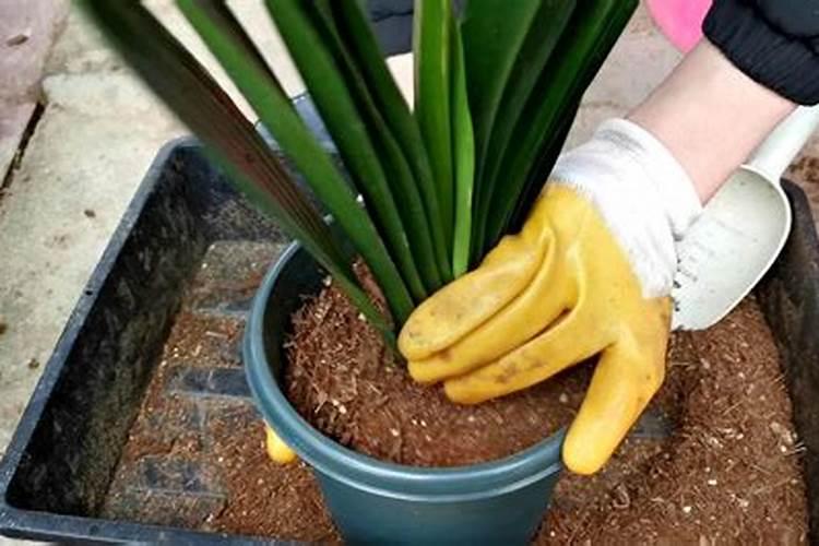 化肥农药属于什么板块