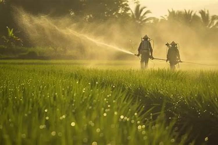 小麦开花期能打除草剂吗？