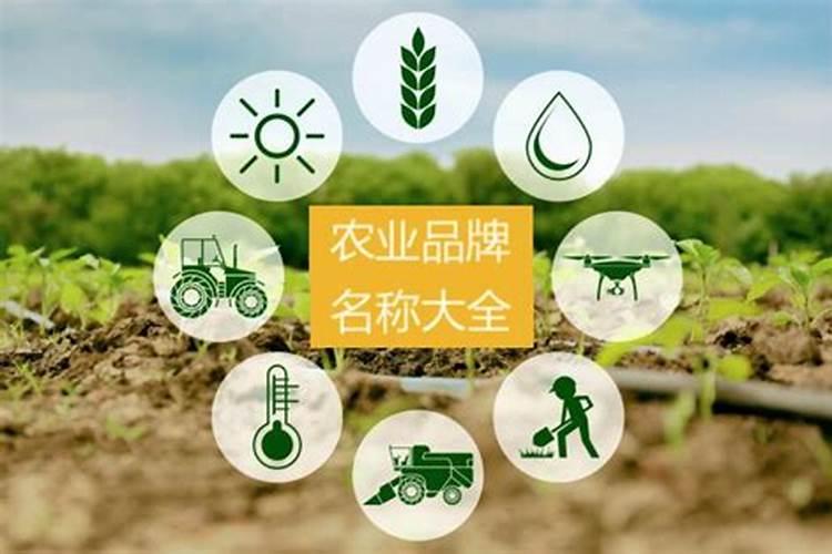 中国十大质量最好化肥