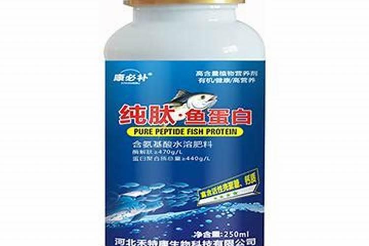 天脊16620硝酸钾水溶肥的批发价格是多少？