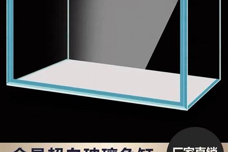 “白龟”养护指南,能把白锦龟背竹养好,那养啥热植都手到擒来!百度知...