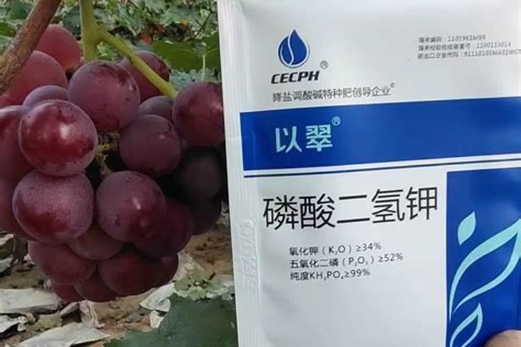 磷酸二氢钾是什么肥料怎样使用
